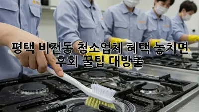 ✨평택 비전동 청소업체 혜택✨ 놓치면 후회! 꿀팁 대방출